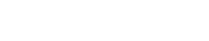 Revizug - audit and advisory services